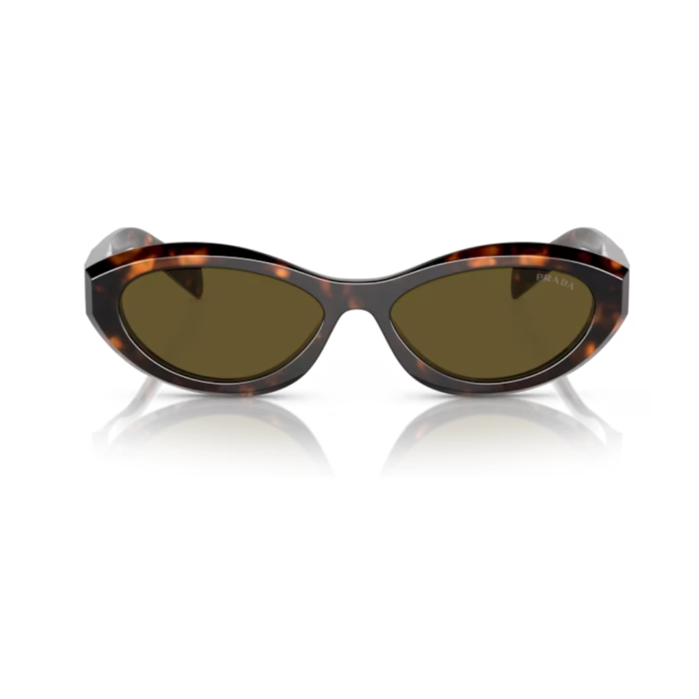 【ARS10+】DIVINE CROSS シャルローネ Partner Polia Roda Livre Alternador Nissan Frontier Zen5374 Nova S10